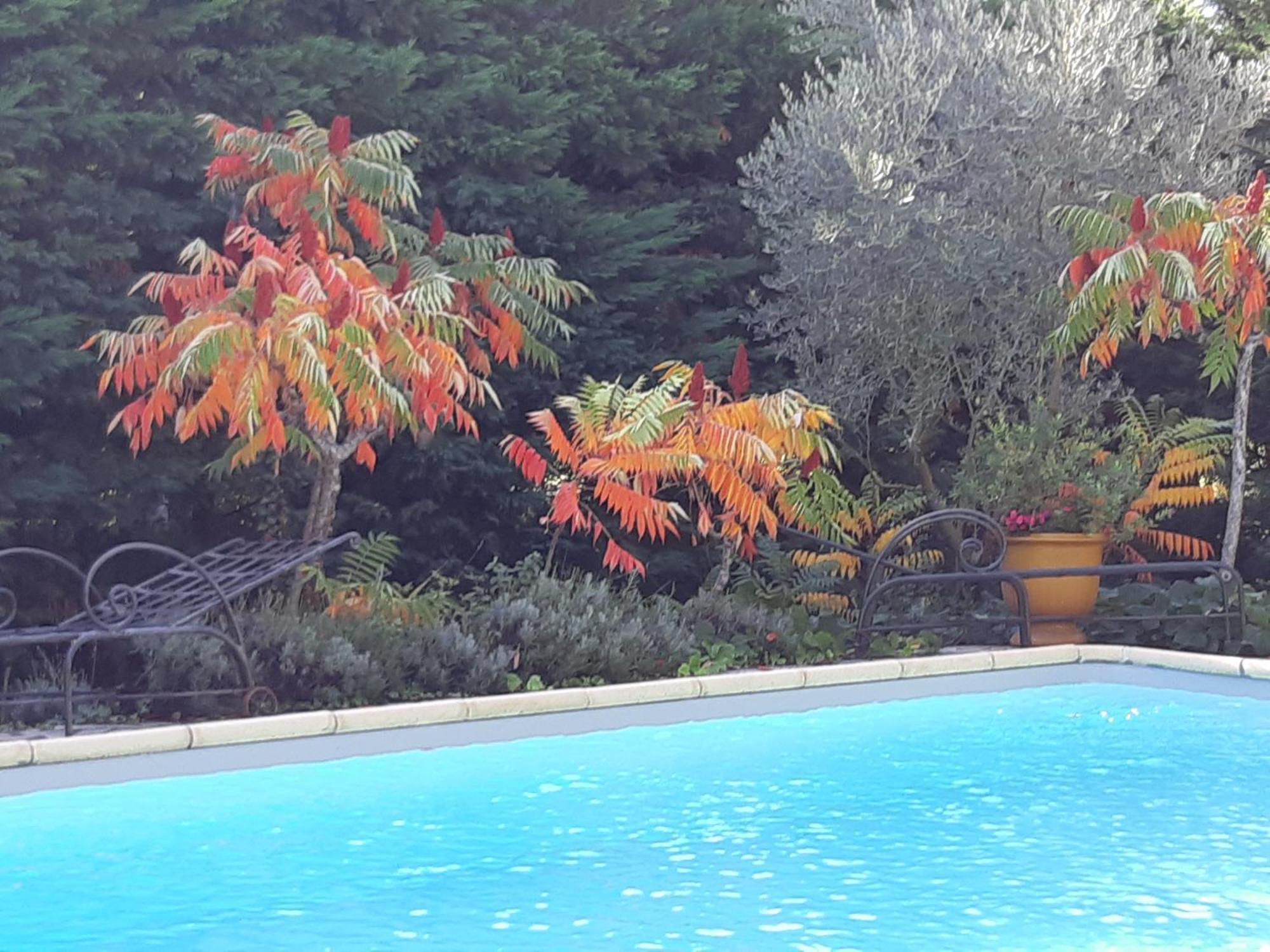 Cherche Midi Noves Luaran gambar